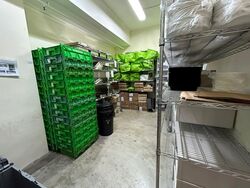 Vertex (D14), Factory #532303101